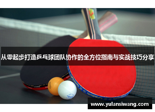 从零起步打造乒乓球团队协作的全方位指南与实战技巧分享
