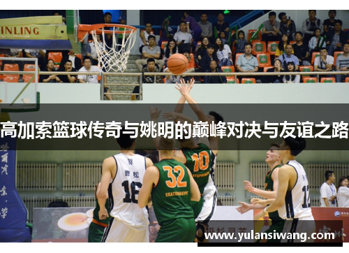 高加索篮球传奇与姚明的巅峰对决与友谊之路