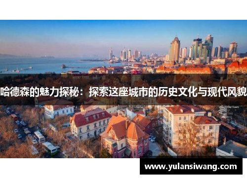 哈德森的魅力探秘：探索这座城市的历史文化与现代风貌