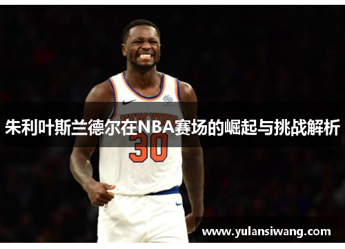 朱利叶斯兰德尔在NBA赛场的崛起与挑战解析